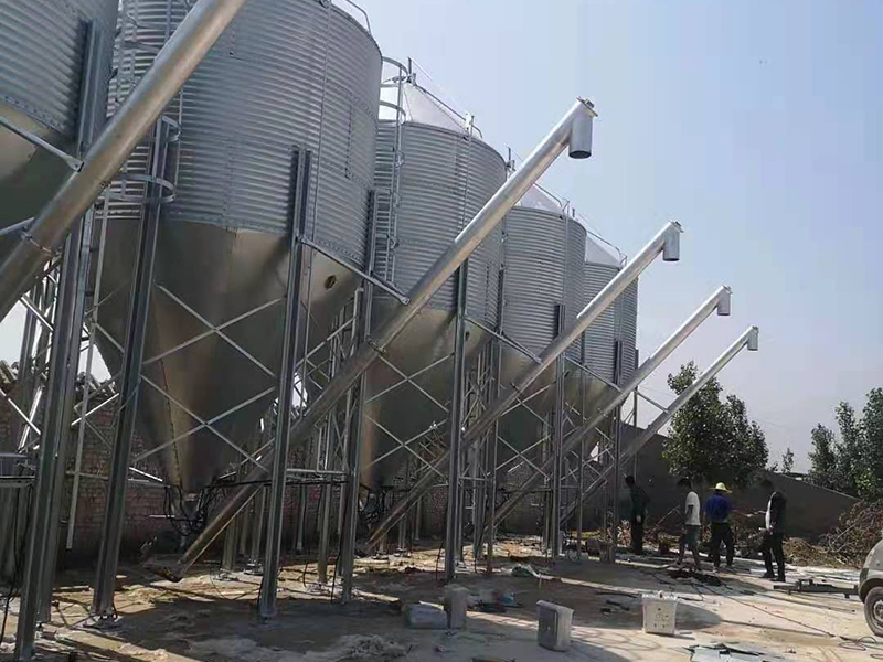 料塔設備喂養(yǎng)與人工喂養(yǎng)的區(qū)別？